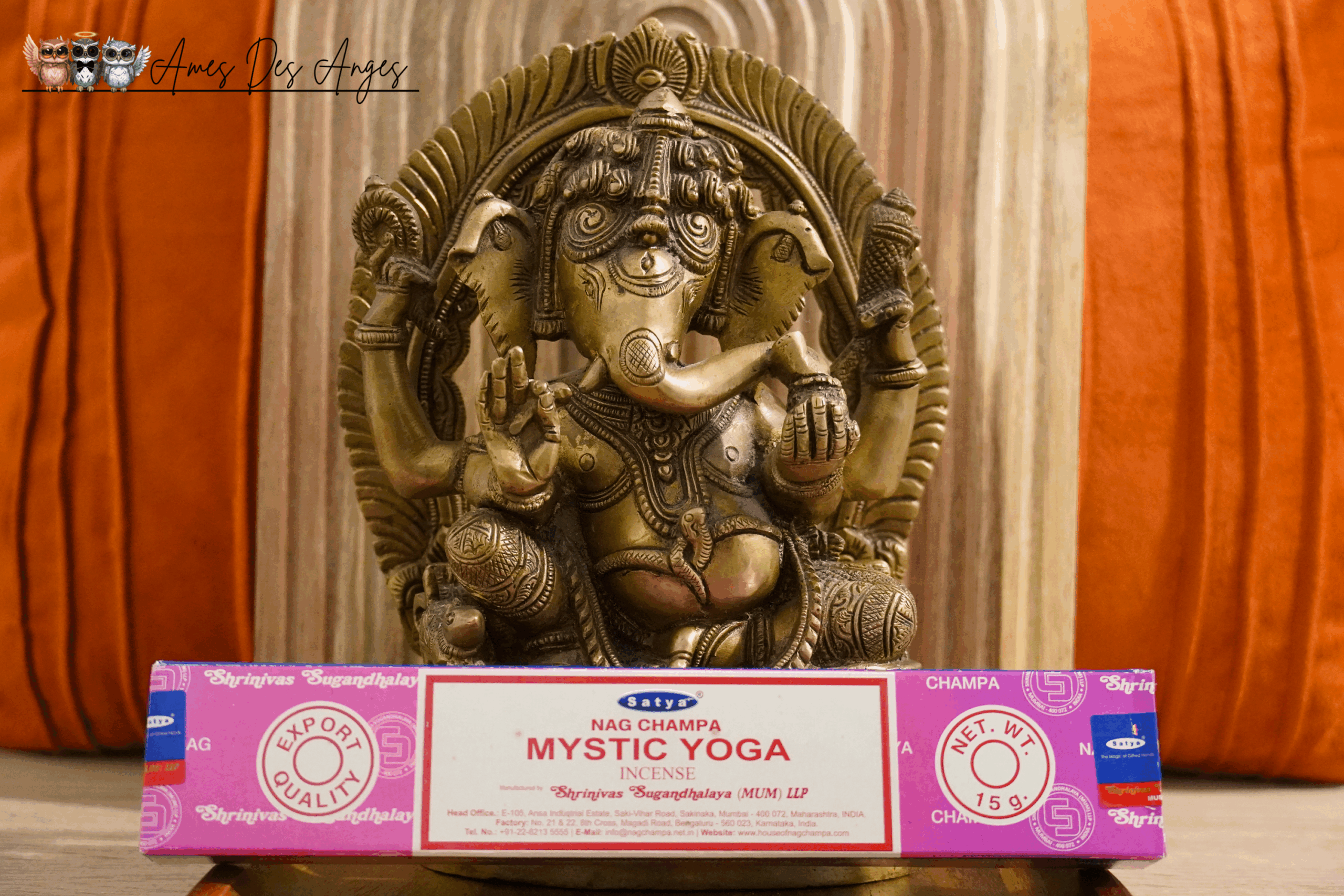 Satya Mystic Yoga encens, bâtonnets d'encens pour méditation et ambiance relaxante